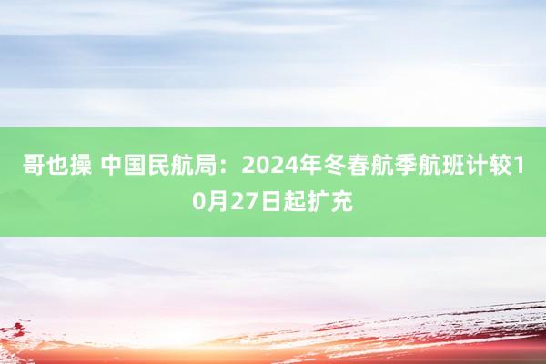 哥也操 中国民航局：2024年冬春航季航班计较10月27日起扩充