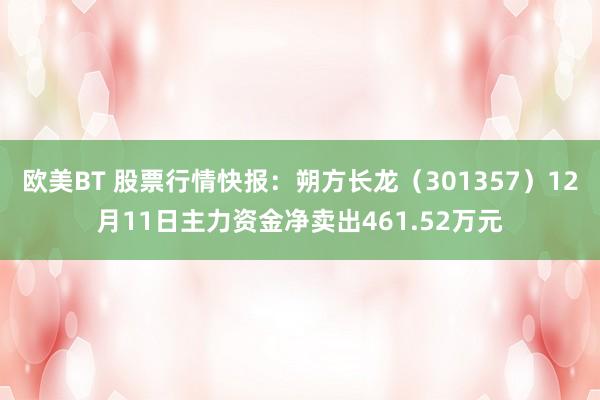 欧美BT 股票行情快报：朔方长龙（301357）12月11日主力资金净卖出461.52万元